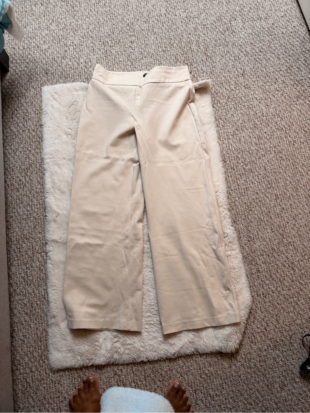Express Wide-Leg Cream Columnist Pant